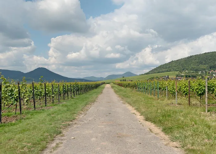 Alte Pfarrhaus - Scheune Prázdninový dům *