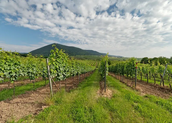 Alte Pfarrhaus - Scheune Prázdninový dům Gleisweiler